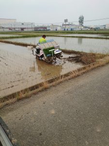 田植え写真